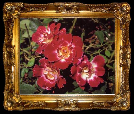 framed  unknow artist Still life floral, all kinds of reality flowers oil painting  145, ta009-2